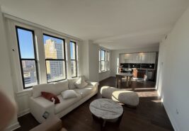 St.Louisde 1+1 73m² 1.683 $ Kira Getirisi Olan 175.000 $’ a Satılık